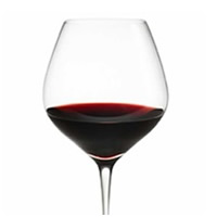 Well Trained Pinot Noir 2010