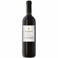 Rengo Valpolicella Ripasso Classico Superiore 2016