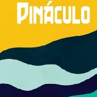 Pináculo Pinot Gris 2018