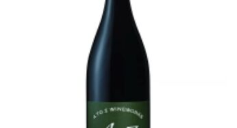 A to Z Pinot Noir 2022